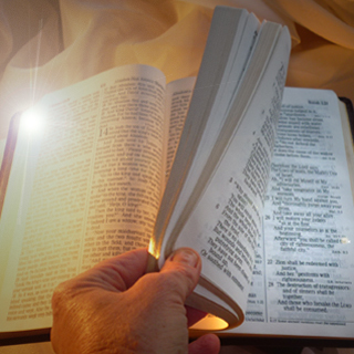 Search the Bible for Vital Truths for the End Times of the World