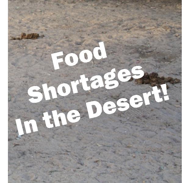 A desert with no food in sight