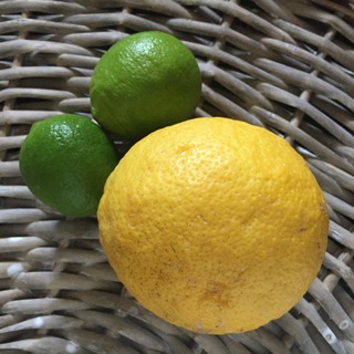 Citrus Fruit and Leaves a good source of the anti-viral flavonoid Rhoifolin