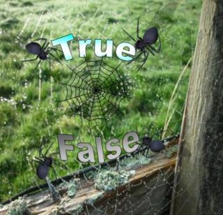 Truth Seeker 9: Web of Deception